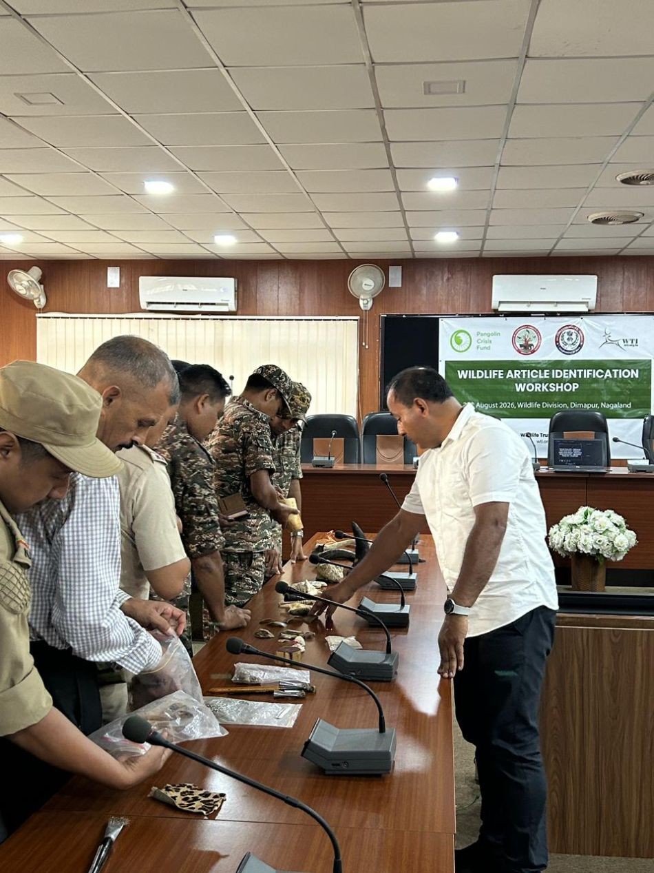 Officials inspect the material during a one-day workshop on Wildlife Article Identification in Dimapur on August 28.